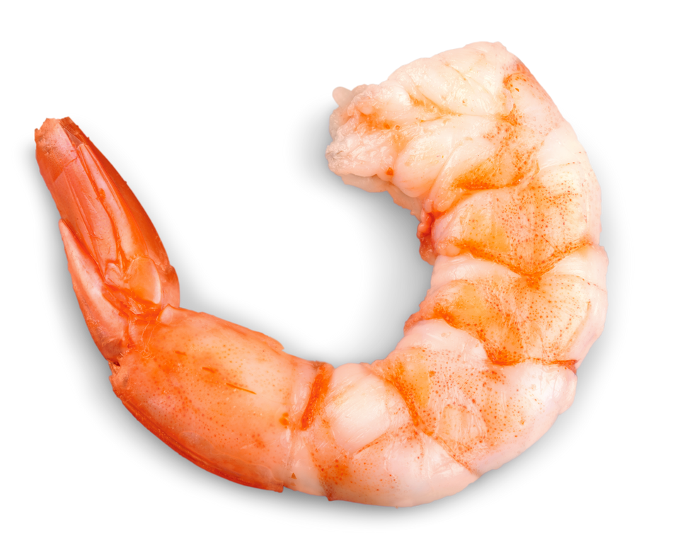 Cooked Shrimp Isolated