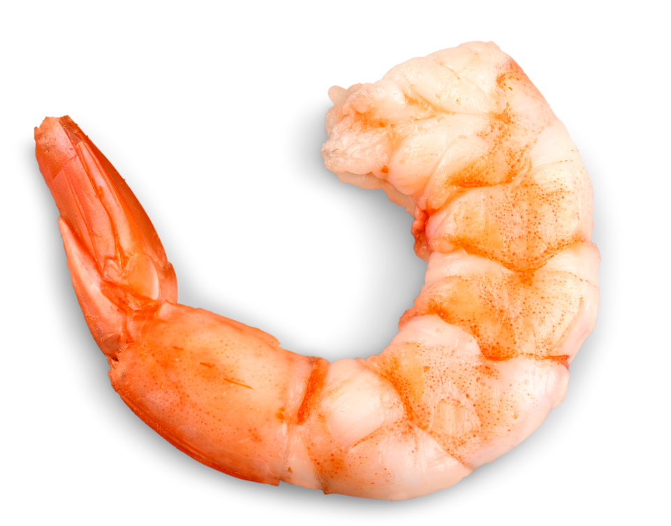 Cooked Shrimp Isolated