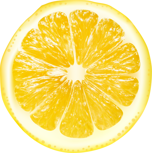 Slice of Lemon 